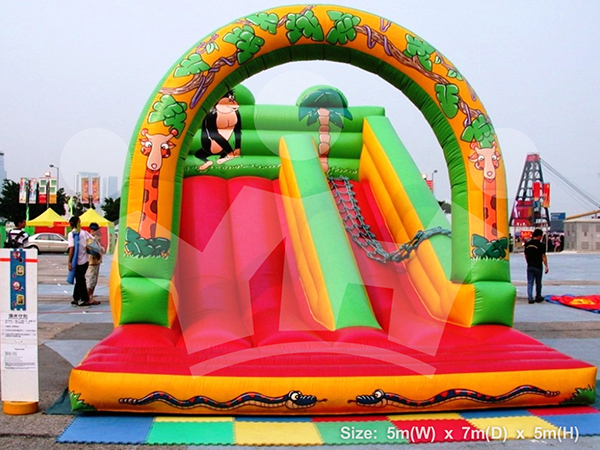 IMAGE_DESC_TAG